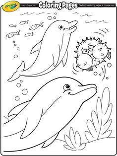 236x314 Free Printable Dolphin Coloring Pages Free Printables, Free