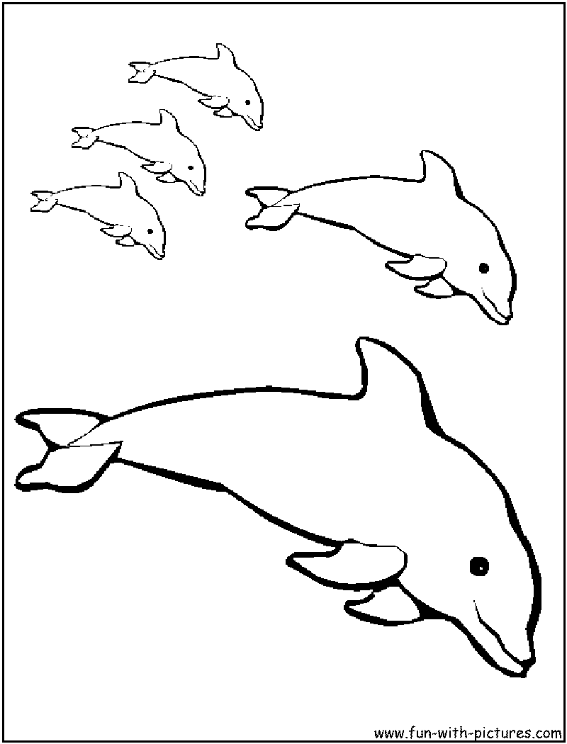 Раскрашивать дельфины. Раскраска Дельфин. Раскраска Дельфинчик. Раскраска "дельфины". Раскраска Дельфин маленький.