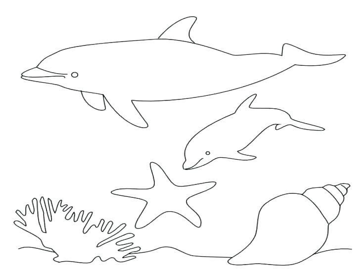 736x552 Miami Dolphins Coloring Pages