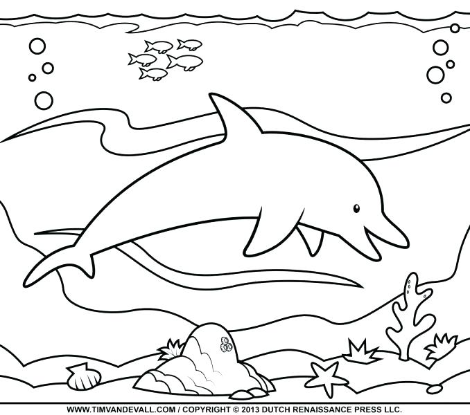 678x600 Direct Dolphin Pictures To Print Pattern Use The Printable