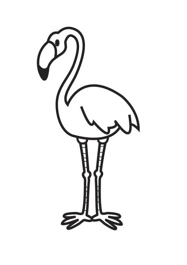 620x875 Pink Flamingo Coloring Pages