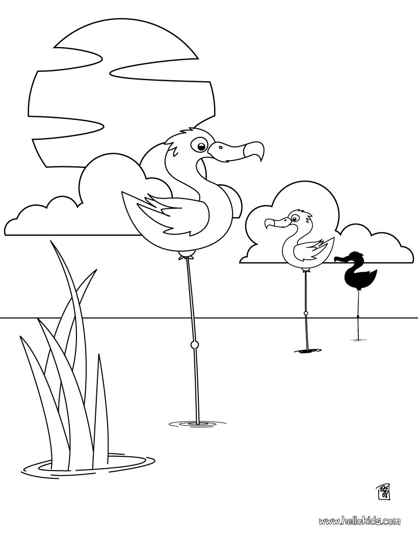 820x1060 Flamingo Coloring Pages, Drawing For Kids, Free Online Games
