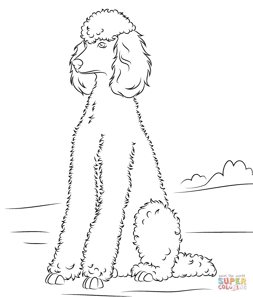 859x1008 Poodle Super Coloring Dog Patterns Poodle And Dog