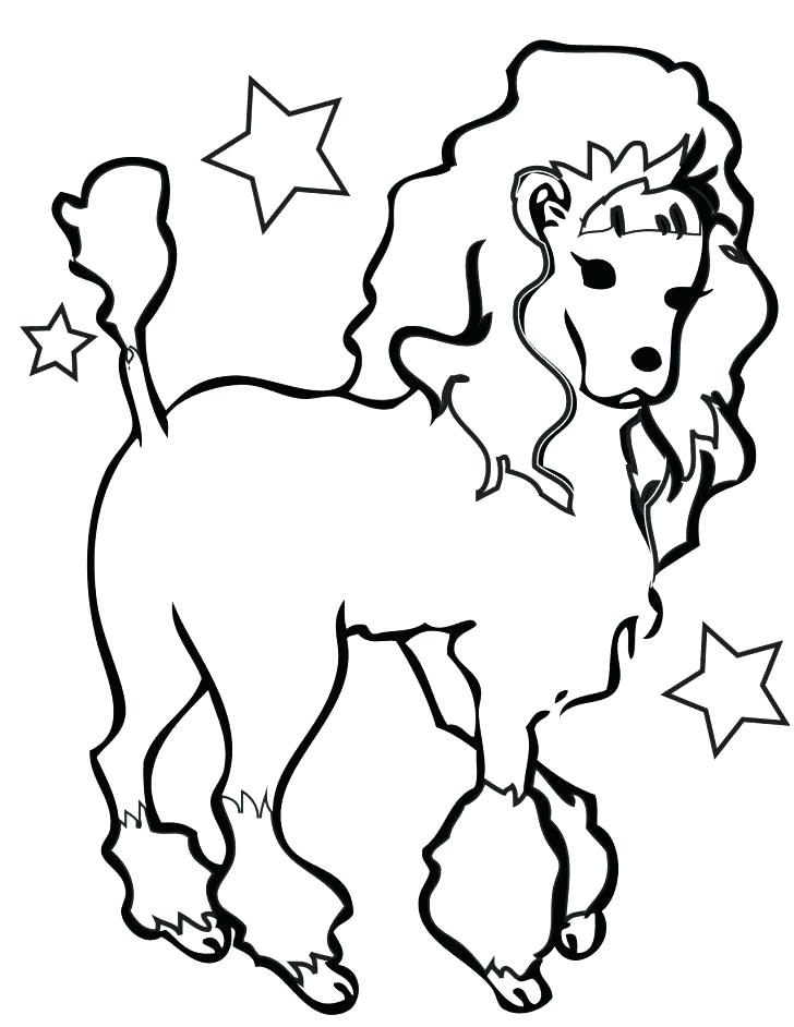 728x942 Poodle Coloring Page A Standard Poodle In Competition Coloring