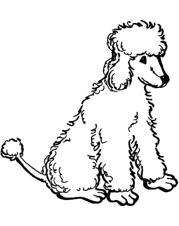 600x756 Poodle Coloring Page Poodle Coloring Page Poodle Coloring Pages