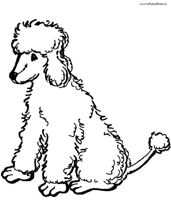 600x756 Poodle Coloring Page Poodle Coloring Page Top Rated Poodle
