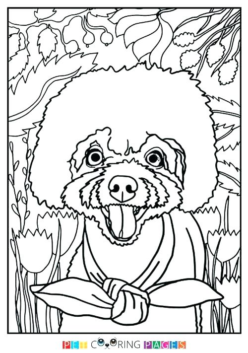 500x711 Poodle Coloring Page Poodle Coloring Pages To Print Poodle