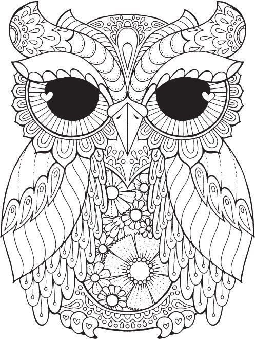 497x659 Owl Pictures To Colour In Best Owl Coloring Pages Ideas