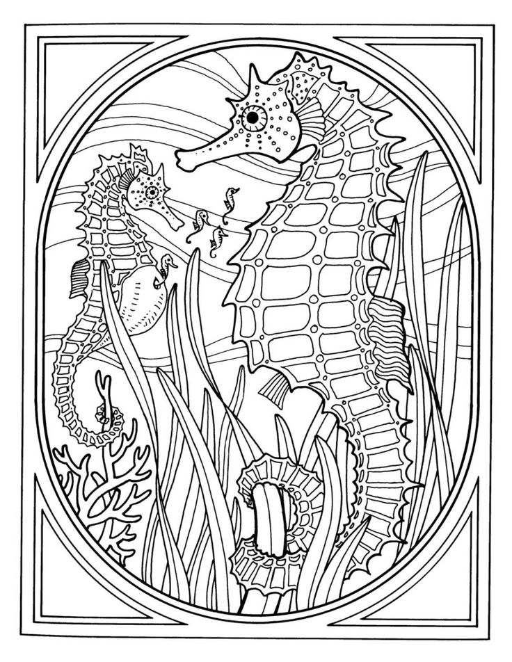 736x952 Free Printable Sea Life Coloring Pages Unique Ocean Coloring