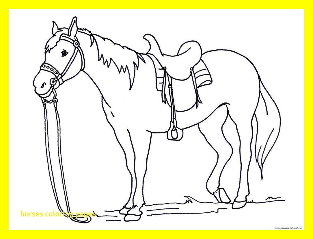 1084x828 Running Horse Coloring Pages