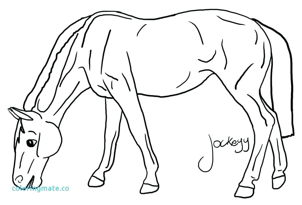 1024x695 Breyer Horse Coloring Pictures Horse Color Page Horse Color Page