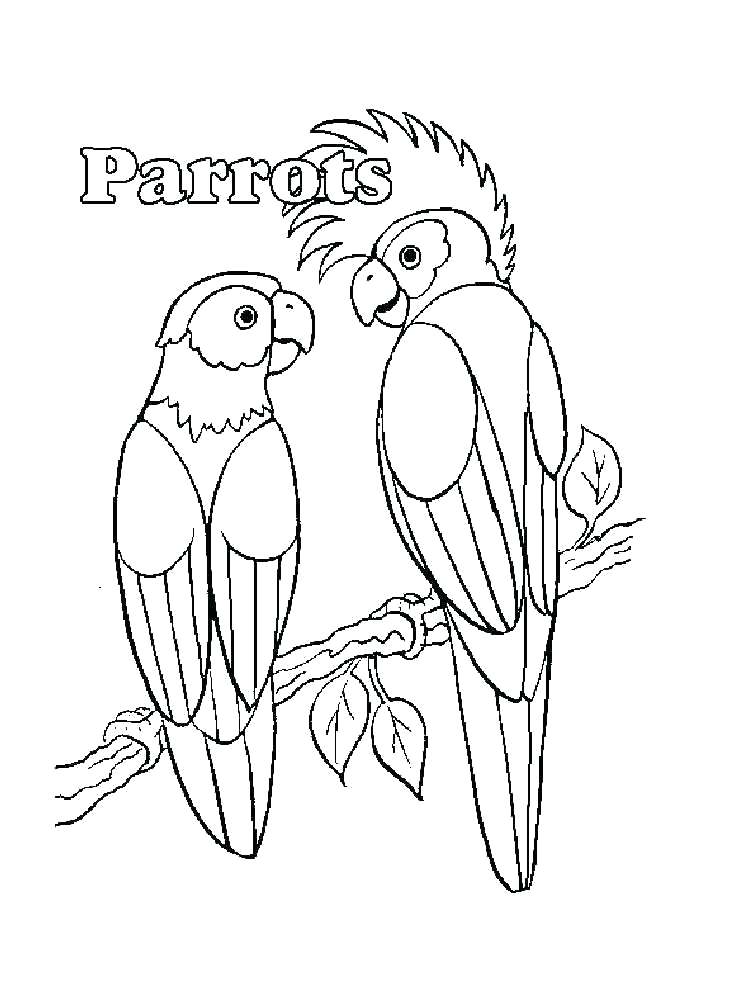 750x1000 Parrots Coloring Pages Coloring Pages Of Parrots Coloring Pages