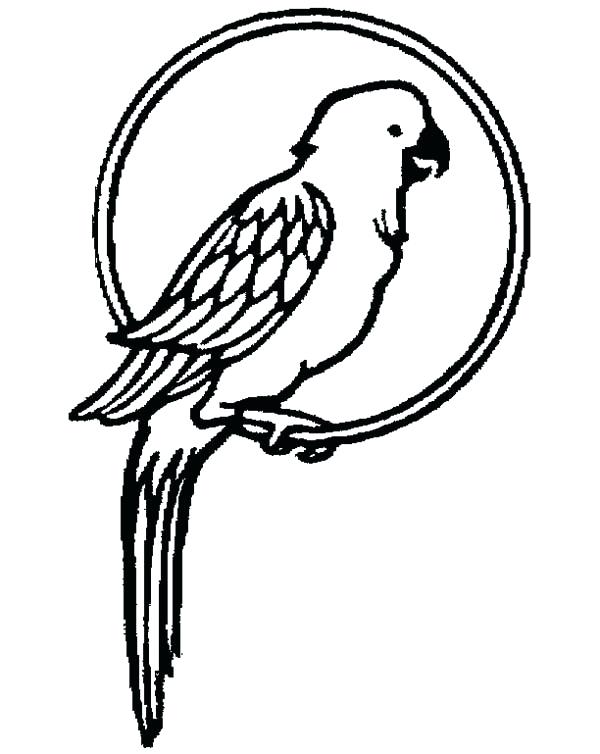 600x754 Parrots Coloring Pages Parrot Pet Coloring Page Pirate Parrot