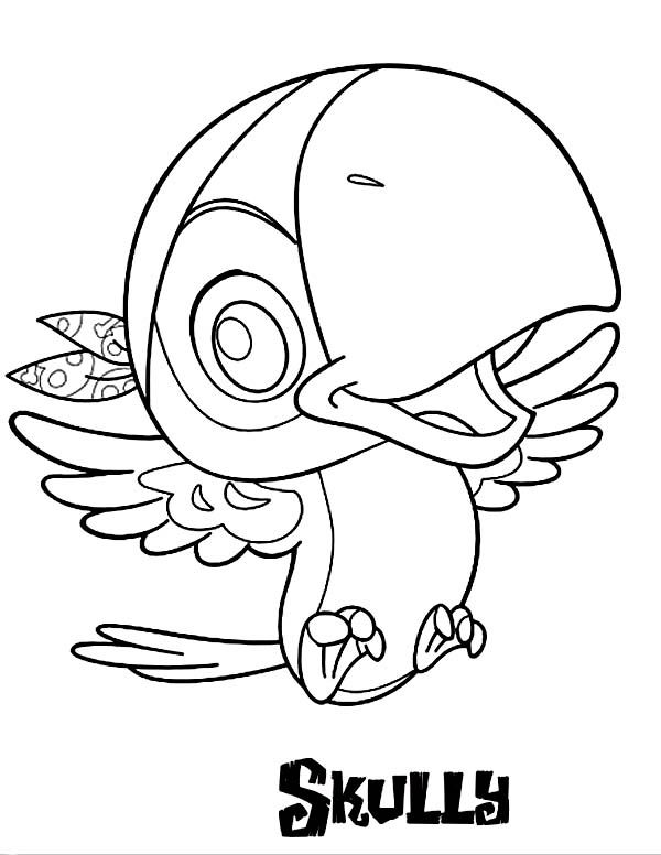 600x776 Pirate Parrot Coloring Pages Best Parrot Coloring Pages Images