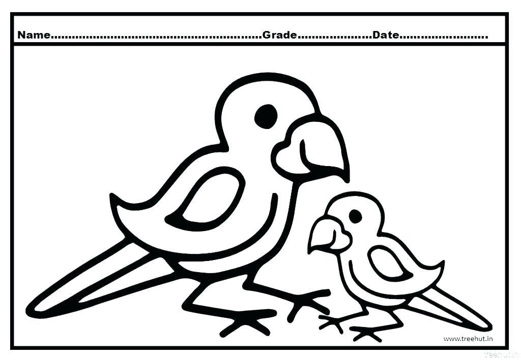 1024x709 Coloring Pages Parrot Coloring Pages Animals Parrot Coloring Pages
