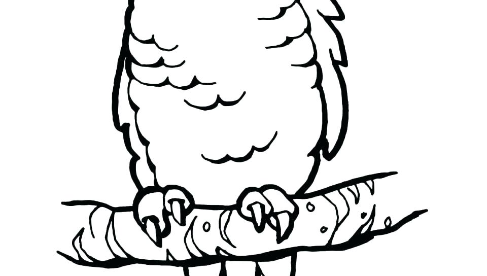 960x544 Parrot Coloring Sheet
