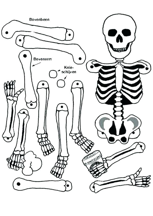 600x848 Skeleton Coloring Pages Skeleton Coloring Page For Kids Human