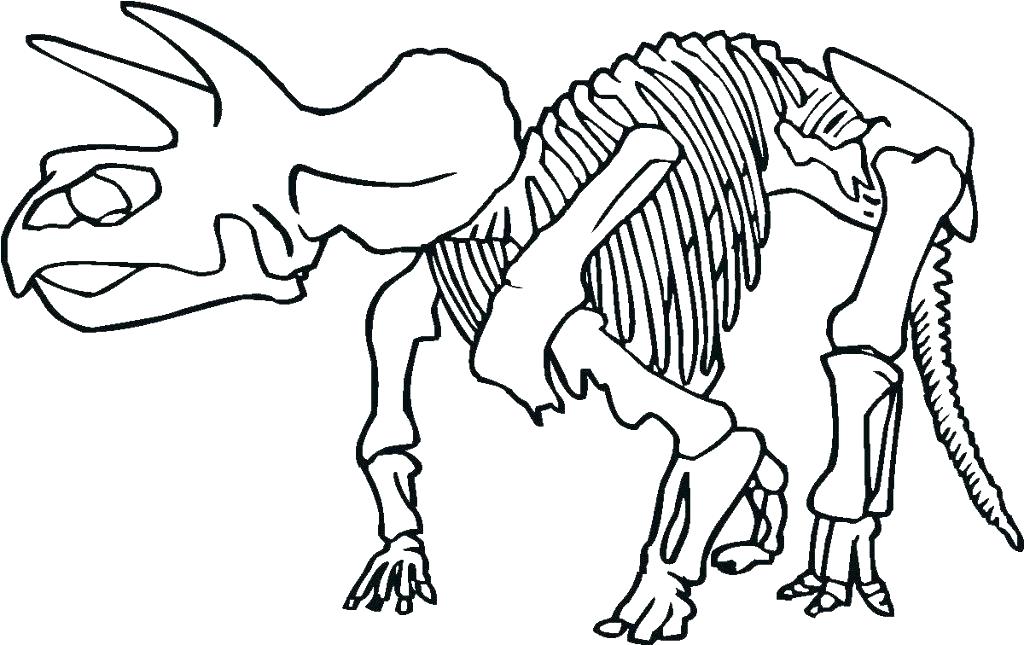 1024x645 Skeleton Head Coloring Pages