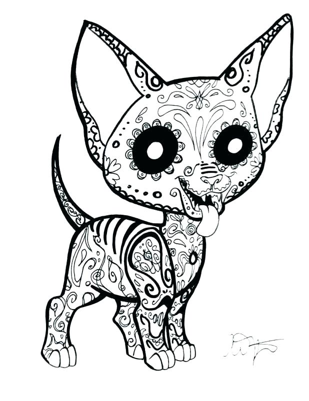 618x803 Skulls Coloring Pages Coloring Pages Skull Coloring Pages