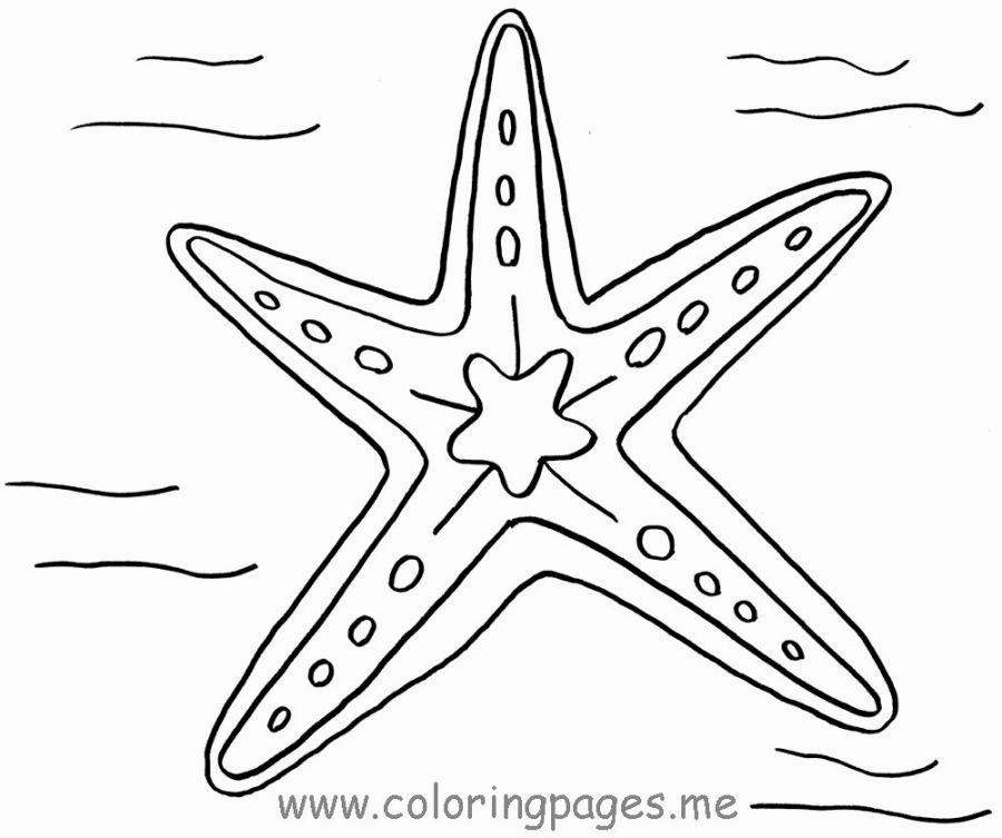 900x753 Starfish Coloring Page Coloring Pages Starfish