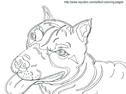 440x330 Pitbull Coloring Page Coloring Pages Of Pit Bulls Coloring Pages