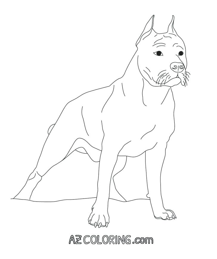728x871 Pitbull Coloring Pages Coloring Pages Inspirational Pit Colouring