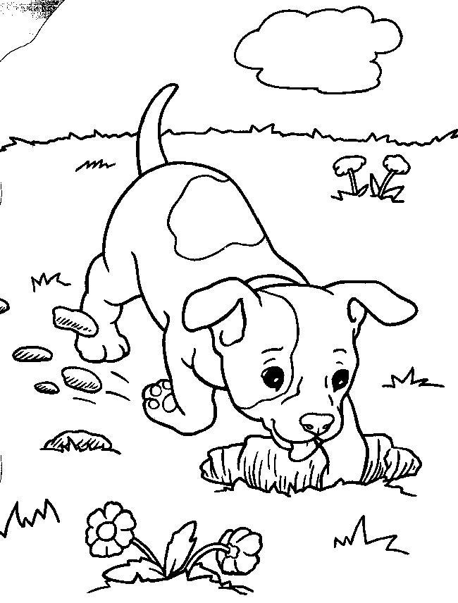 650x856 Puppies Coloring Page
