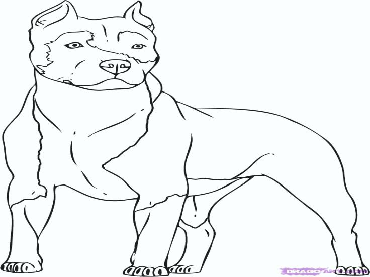 736x551 Rottweiler Coloring Pages Rottweiler Coloring Sheets Rottweiler