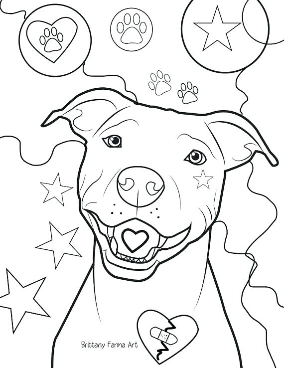 570x738 Bull Coloring Page Pit Bull Coloring Pages Coloring Page Coloring