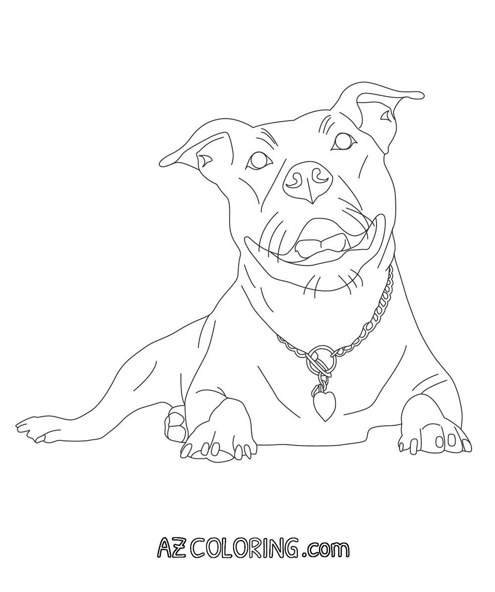 1000x1196 Pitbull Coloring Page Color Me In Clip Art