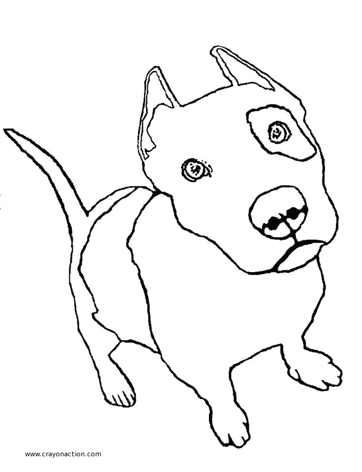 736x959 Pitbull Coloring Page Drawn Pit Bull Coloring Page Pitbull Puppy