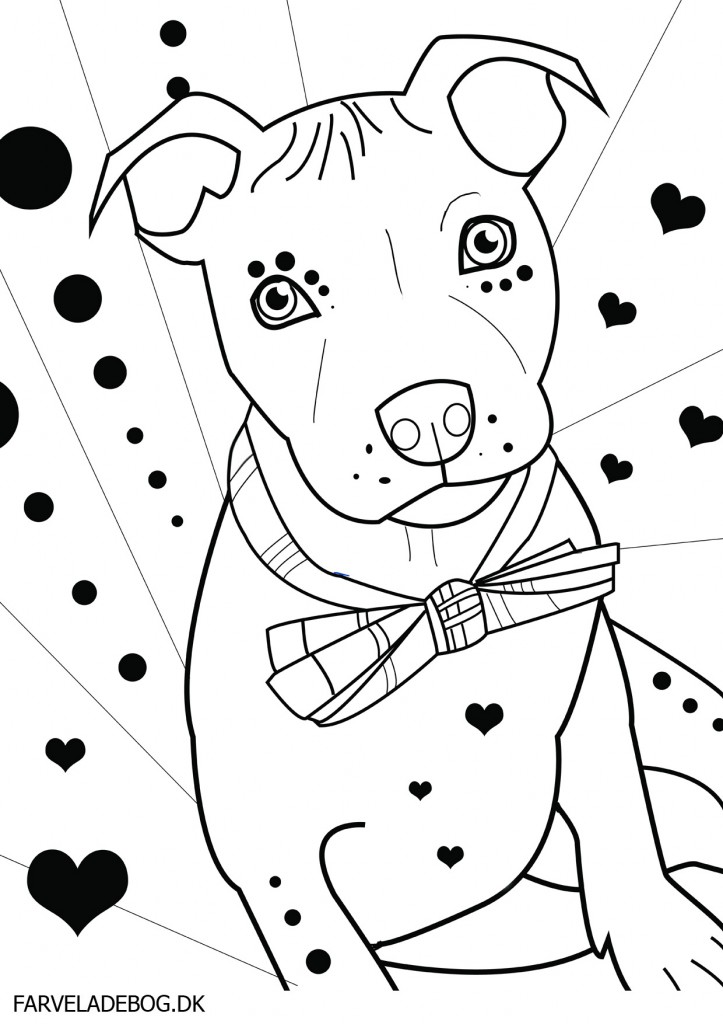 Pitbull Dog Coloring Pages