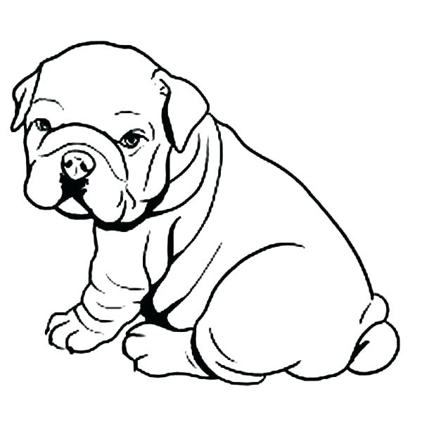 600x600 Images Of Dog Coloring Pages Dog Coloring Page Pit Bull Coloring