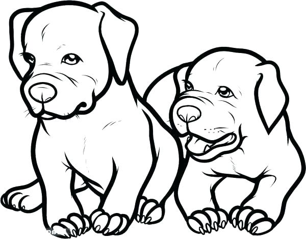 600x469 Pitbull Coloring Page Coloring Page Coloring Pages Cute Puppy