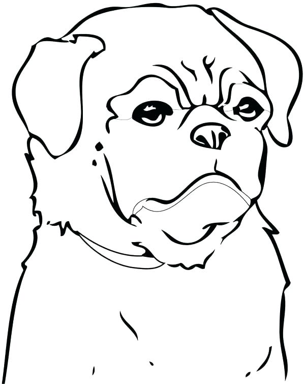 600x755 Pitbull Coloring Page Coloring Pages Also Man In Black Coloring