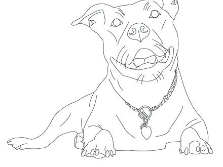 440x330 Pitbull Coloring Pages Coloring Pages Of Coloring Home Pitbull