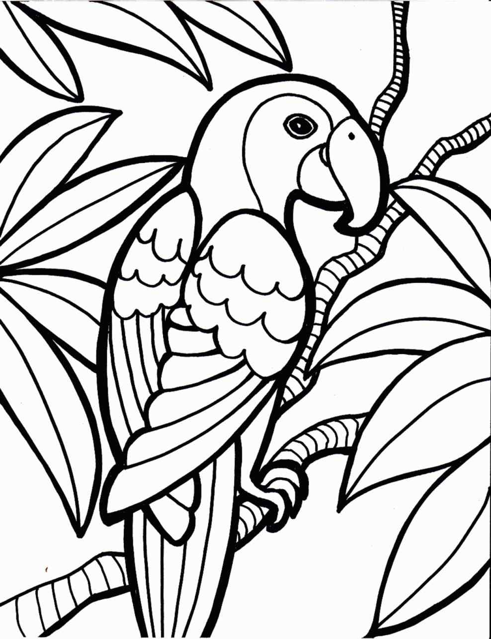 988x1285 Coloring Pages