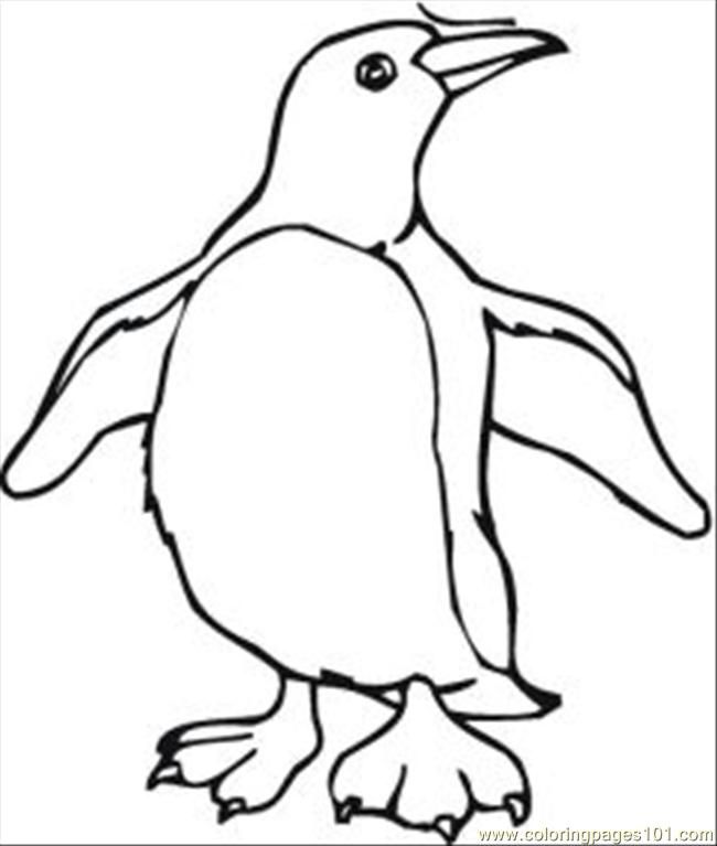 650x767 Penguin Printable Coloring Pages