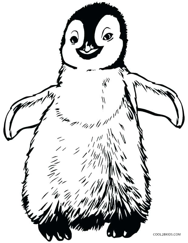 620x800 Penguins Coloring Pages Macaroni Penguin Coloring Page Penguins