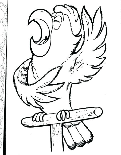 482x616 Drawn Parrot Pinart Parrot Coloring Pages Parrot Coloring Drawn