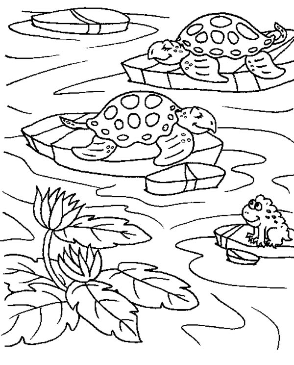 600x744 Pond Coloring Page Preschool