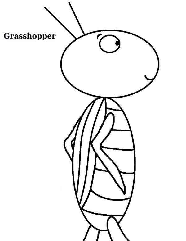 600x776 Plagues Of Egypt Locusts Grasshopper Coloring Page