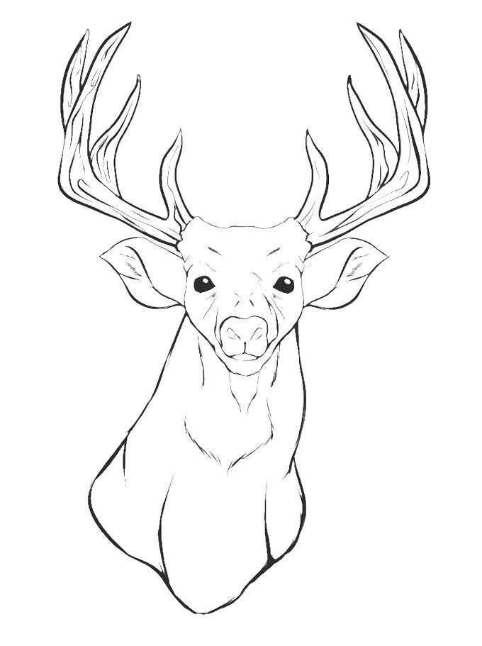 680x911 Elk Pictures To Color Color Elk Head Decorative Pattern Free