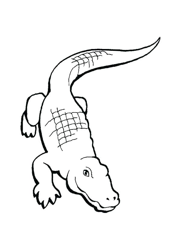 600x800 Plankton Coloring Pages Plankton Coloring Page Spongebob Plankton