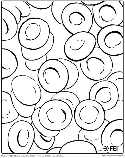 420x530 Cell Coloring Pages Plant Cell Coloring Pictures