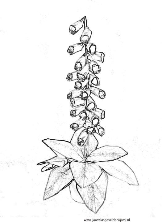 Plant Coloring Pages