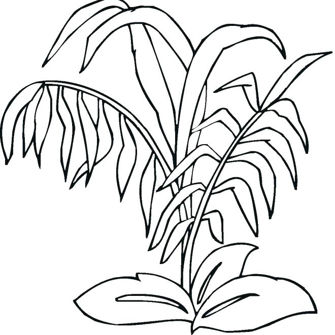 660x660 Plants Coloring Page Zombie Printable Coloring Pages Image