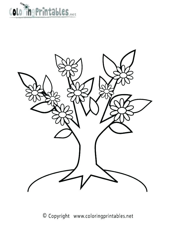 736x952 Plants Coloring Pages Printable Deepart