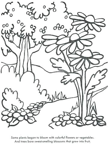 360x480 Coloring Pages Plants Coloring Pages Trees Plants Flowers