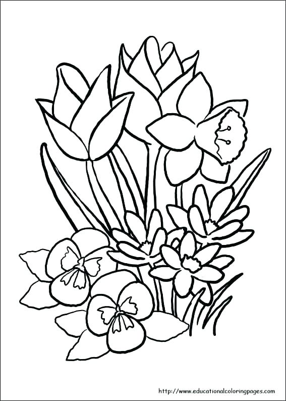 567x794 Spring Printable Coloring Pages Free Printable Spring Coloring